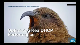 Optimizing Kea Performance