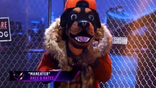 Rottweiler "Chris Daughtry" - Maneater (Masked Singer S2E1)