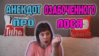 Анекдот про озабоченного Лося