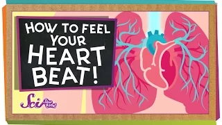 How to Feel Your Heart Beat