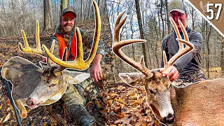 2 BIG BUCKS DOWN! Our Best Day of DEER DRIVES! (Ohio Muzz Part 3)