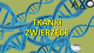 33. Tkanki zwierzęce