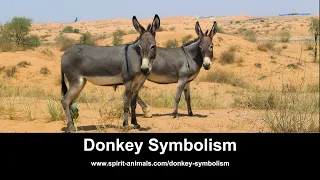 Donkey Symbolism