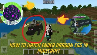 HOW TO HATCH ENDER DRAGON🔥EGG 💥IN MINECRAFT 😱#Mod#best 🔥#spawning