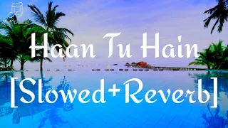 Haan Tu Hain [Slowed+Reverb] - KK | Pritam | Lofi Audio
