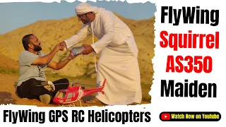 Flight Testing The FlyWing Squirrel AS350 GPS RC Helicopter