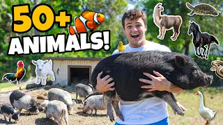 Day in My Life with 50+ ANIMALS on FARM!!