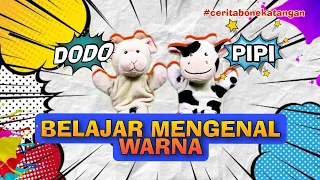 CERITA BONEKA TANGAN | BELAJAR MENGENAL WARNA