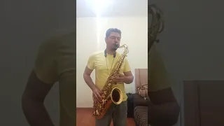 Facas (Sax Cover)