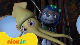 Psi Patrol | Psi Patrol leci w przestrzeń kosmiczną i nurkuje w morskie głębiny! | Nick Jr. Polska