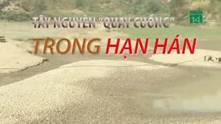 Tây Nguyên "quay cuồng" trong hạn hán| VTC14