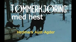 TØMMERKJØRING med hest - 1982. Hedmark - Aust-Agder.