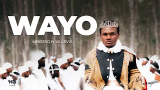 Mbosso - Ft Ya Levis - Wayo (Official Audio & Lyric Video)