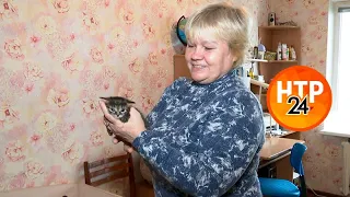 Спасённая из-под капота автомобиля в Нижнекамске кошка родила котят, им ищут дом