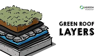 The Fundamental Layers of a Green Roof - Green Buildings Explained