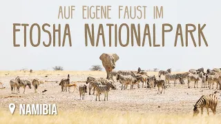 Etosha Nationalpark, Selbstfahrer • Namibia Roadtrip • #Weltreise Vlog 148