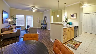 Ultimate apartment tour of a spacious 2 bedroom