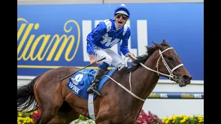 Winx - All Races from 2017