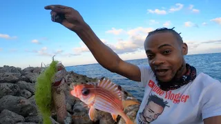 Catch & Cook Rock Fishing Eating What mi Catch From The Sea @jamaicaSUNRISETV