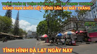 ĐÀ LẠT LẠI NÓNG BỨC CẢ NGÀY.  TRỘM VÀO NHÀ CH. ÉM THẨM PHÁN TRỌNG THƯƠNG.