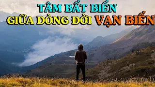 Làm sao có thể "TÂM BẤT BIẾN GIỮA DÒNG ĐỜI VẠN BIẾN" ? - Thiền Đạo