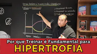 O Poder do Treino: Por que Treinar é Fundamental para Hipertrofia