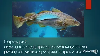 природне угруповання море 3 клас