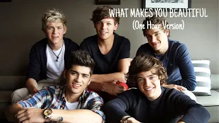 What Makes You Beautiful (One Hour Version) | 1D audios