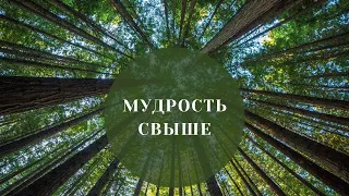 Мудрость Свыше