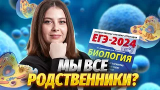 Клеточная теория для ЕГЭ | Биология ЕГЭ для 10 класса | Умскул