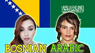 Similarities Between Arabic and Bosnian