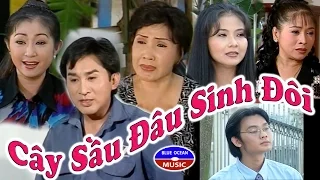 Cai Luong Cay Sau Dau Sinh Doi