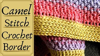 Camel Stitch Crochet Border