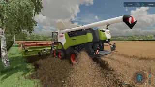 FS 22 Shire Farm (Journey to 2000 Dairy Cows) * 31 * Fast Harvesting Canola, Storing the Grain