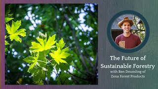 Sustainable Forestry for the Future