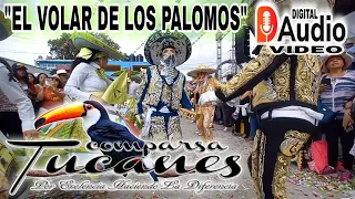 COMPARSA TUCANES "EL VOLAR DE LOS PALOMOS" 8va. DE SAN PABLO 2023 (VIDEO AUDIO DIGITAL)