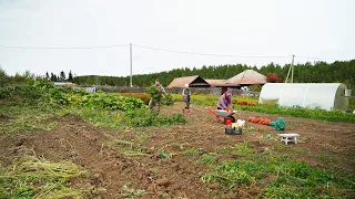 ЖИЗНЬ В ГЛУХОЙ УРАЛЬСКОЙ ДЕРЕВНЕ | БЫТ БЕЗ ЦИВИЛИЗАЦИИ | КАКИЕ ЗАПАСЫ В ПОГРЕБЕ