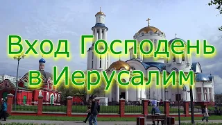 🌿 Вход Господень в Иерусалим • Евангелие • Проповедь о.Павла • Храм Московских Святых (28.04.2024)