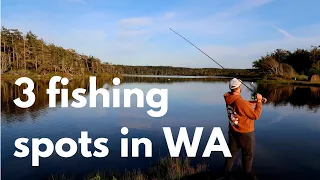 Trout fishing in Washington