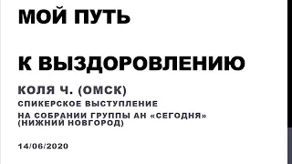 Мой путь к выздоровлению. Коля Ч. (Омск). Спикер на собрании группы Анонимных Наркоманов "Сегодня".