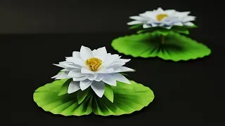 Paper Water Lily (কাগজের শাপলা ফুল) | How To Make Water Lily With Paper | DIY Paper Flower