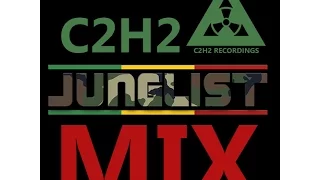 RAGGA JUNGLE MIX 2016 (C2H2)