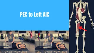 Hamstring, Adductor, Internal Obliques, and Diaphragm: Why the Right Side Restores First in a PEC