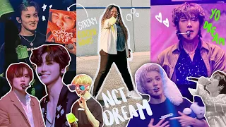 [NCT DREAM CONCERT VLOG] - Seeing 7 DREAM in CHICAGO | TDS2