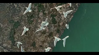 Before the Rain Odessa Black Sea 4K