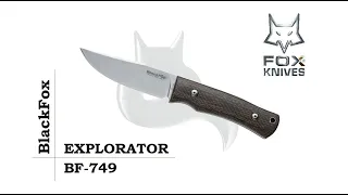 BlackFox EXPLORATOR BF-749