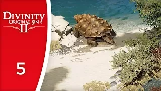 What's happening to these turtles? - Let's Play Divinity: Original Sin 2 #5