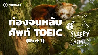 ASMR | ท่องจนหลับ ศัพท์ TOEIC | Part 1 (Jungle Rain V.) | คำนี้ดี SLEEPY EP.24