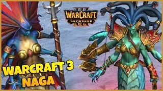 Warcraft 3 Reforged | Naga Character Models & Animations