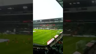 Werder Hoffenheim (1:1) 2017/18 Das W auf dem Trikot